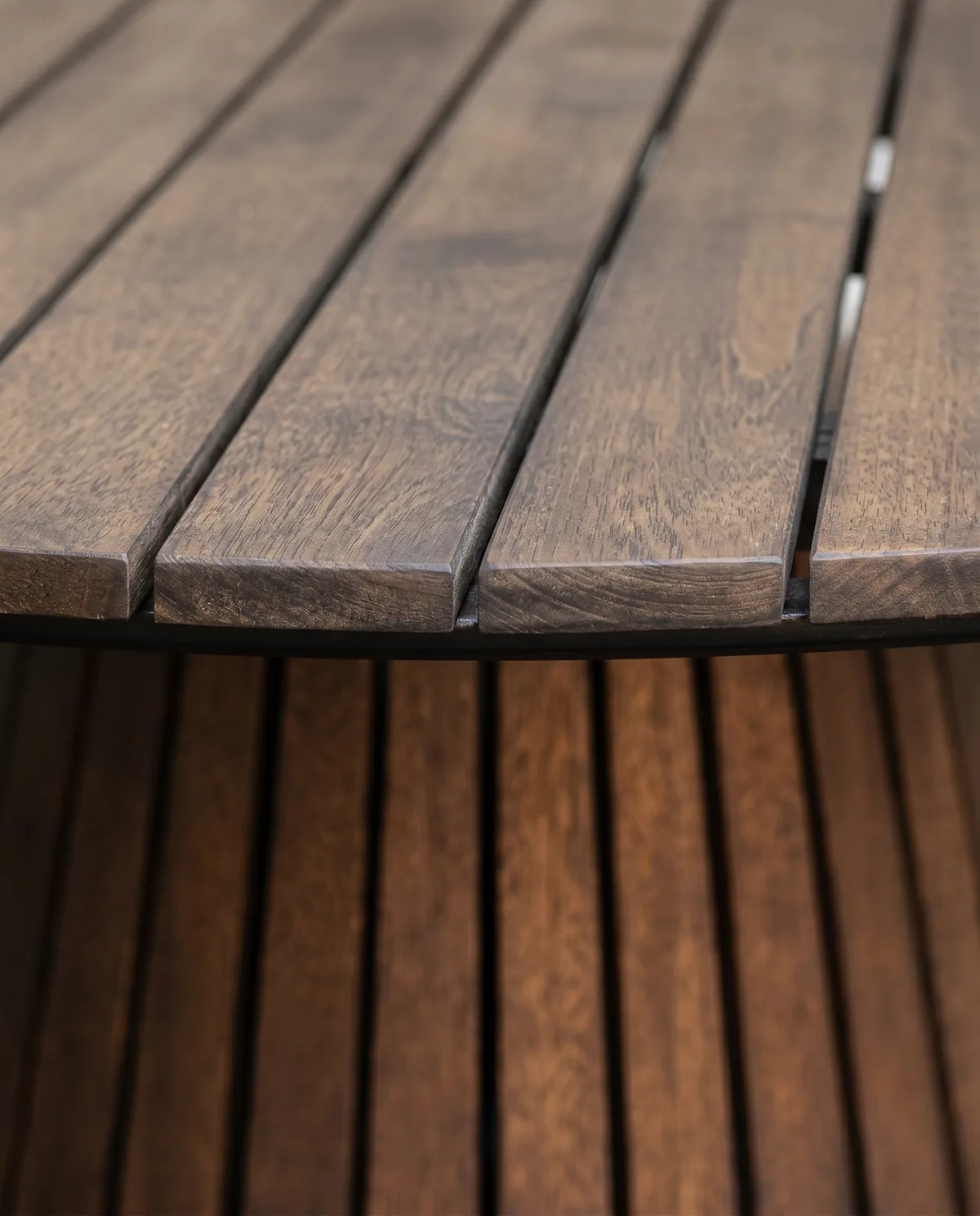 Mesa Dina — closeup